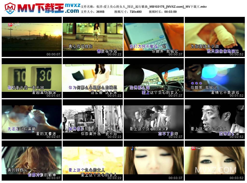 张洋-爱上负心的女人_国语_流行歌曲_MB103175
